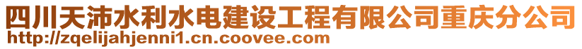 四川天沛水利水电建设工程有限公司重庆分公司