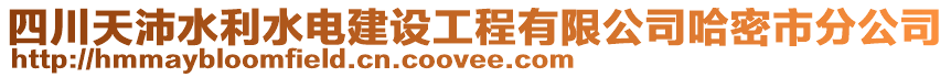 四川天沛水利水電建設(shè)工程有限公司哈密市分公司