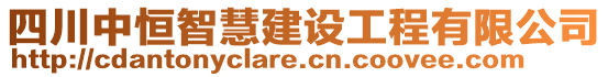 四川中恒智慧建設(shè)工程有限公司