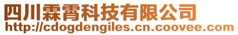 四川霖霄科技有限公司