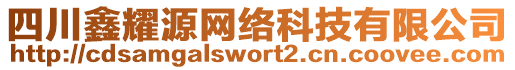 四川鑫耀源網絡科技有限公司