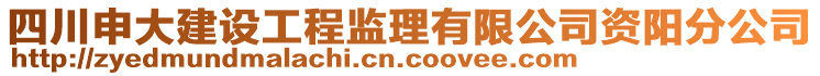 四川申大建設(shè)工程監(jiān)理有限公司資陽分公司