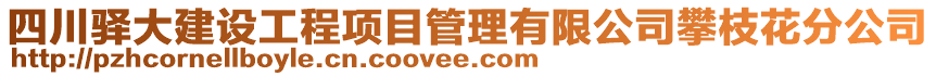 四川驛大建設(shè)工程項(xiàng)目管理有限公司攀枝花分公司