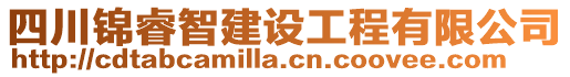 四川錦睿智建設工程有限公司