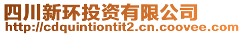 四川新環(huán)投資有限公司