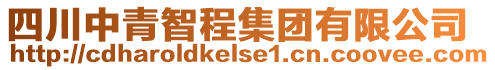 四川中青智程集團(tuán)有限公司