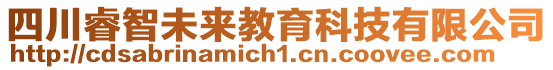 四川睿智未來教育科技有限公司