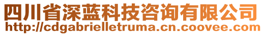 四川省深藍(lán)科技咨詢有限公司