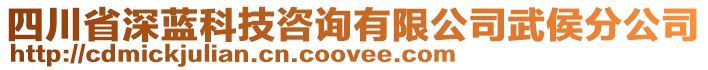 四川省深藍(lán)科技咨詢有限公司武侯分公司