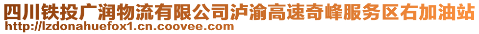 四川鐵投廣潤物流有限公司瀘渝高速奇峰服務(wù)區(qū)右加油站