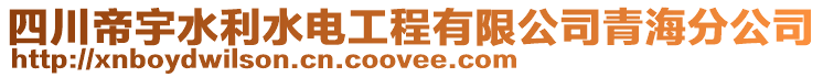 四川帝宇水利水電工程有限公司青海分公司