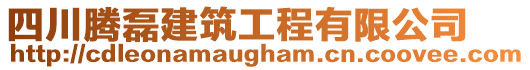 四川騰磊建筑工程有限公司