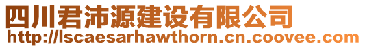 四川君沛源建設(shè)有限公司