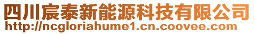 四川宸泰新能源科技有限公司