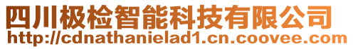 四川極檢智能科技有限公司