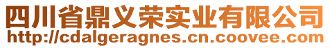 四川省鼎義榮實業有限公司