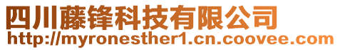 四川藤鋒科技有限公司