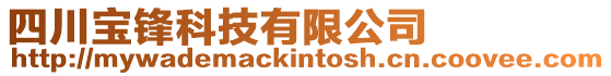 四川寶鋒科技有限公司