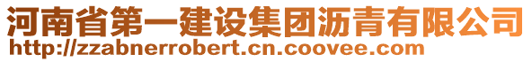 河南省第一建設(shè)集團(tuán)瀝青有限公司