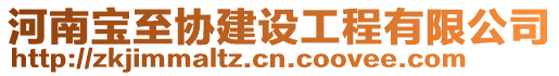 河南寶至協(xié)建設工程有限公司