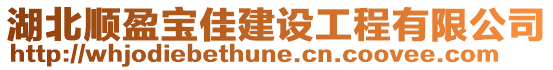 湖北順盈寶佳建設(shè)工程有限公司