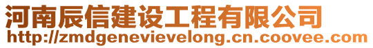 河南辰信建設工程有限公司