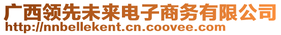 广西领先未来电子商务有限公司