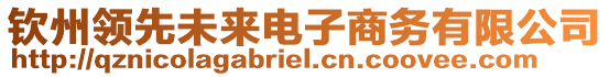 欽州領(lǐng)先未來(lái)電子商務(wù)有限公司