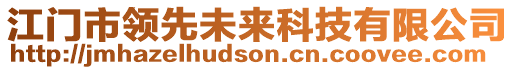 江門(mén)市領(lǐng)先未來(lái)科技有限公司