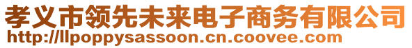 孝義市領先未來電子商務有限公司