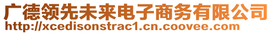 廣德領先未來電子商務有限公司