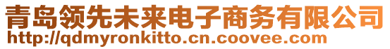 青島領(lǐng)先未來電子商務(wù)有限公司