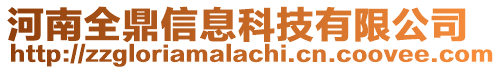 河南全鼎信息科技有限公司