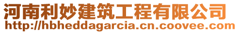 河南利妙建筑工程有限公司