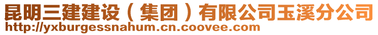 昆明三建建設（集團）有限公司玉溪分公司