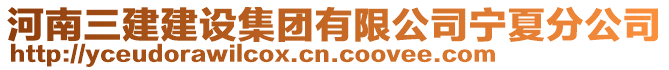 河南三建建設集團有限公司寧夏分公司