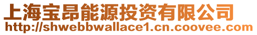 上海寶昂能源投資有限公司