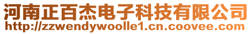 河南正百杰電子科技有限公司