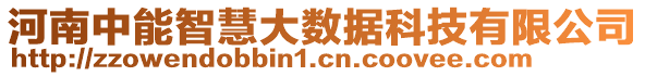 河南中能智慧大數(shù)據(jù)科技有限公司