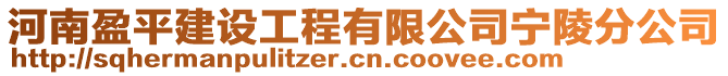 河南盈平建設工程有限公司寧陵分公司