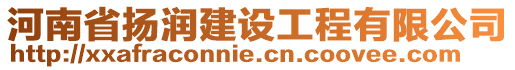 河南省揚(yáng)潤(rùn)建設(shè)工程有限公司