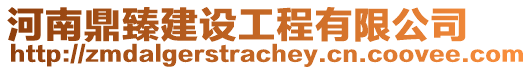 河南鼎臻建設(shè)工程有限公司