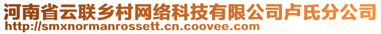 河南省云聯(lián)鄉(xiāng)村網(wǎng)絡(luò)科技有限公司盧氏分公司