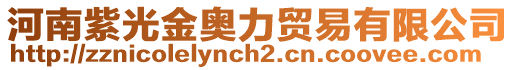 河南紫光金奧力貿易有限公司