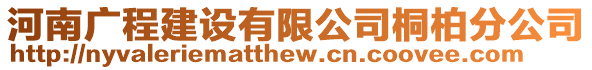 河南廣程建設(shè)有限公司桐柏分公司