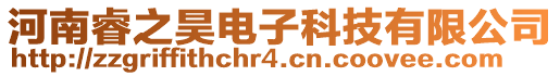 河南睿之昊電子科技有限公司