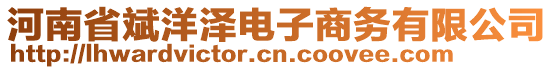 河南省斌洋澤電子商務(wù)有限公司