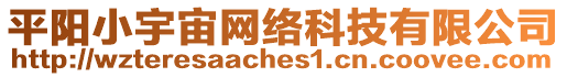 平陽(yáng)小宇宙網(wǎng)絡(luò)科技有限公司