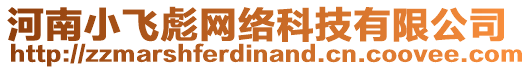 河南小飛彪網絡科技有限公司