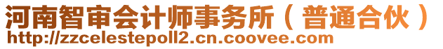 河南智審會計師事務所（普通合伙）